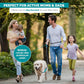 Hands-Free Waist Leash for Dog Walking, Running and Hiking, Adjustable Belt with Double Handle, Reflective Bungee Design for Large & Medium Dogs
